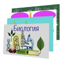 9.3. Модели-аппликации по анатомии и общей биологии 9.3. Модели-аппликации по анатомии и общей биологии